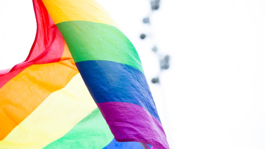 Vielfalt stärkt uns! LSVD-Aktionen zum Internationalen Tag gegen Homo,-Bi-, Inter- und Transphobie (IDAHOBIT)