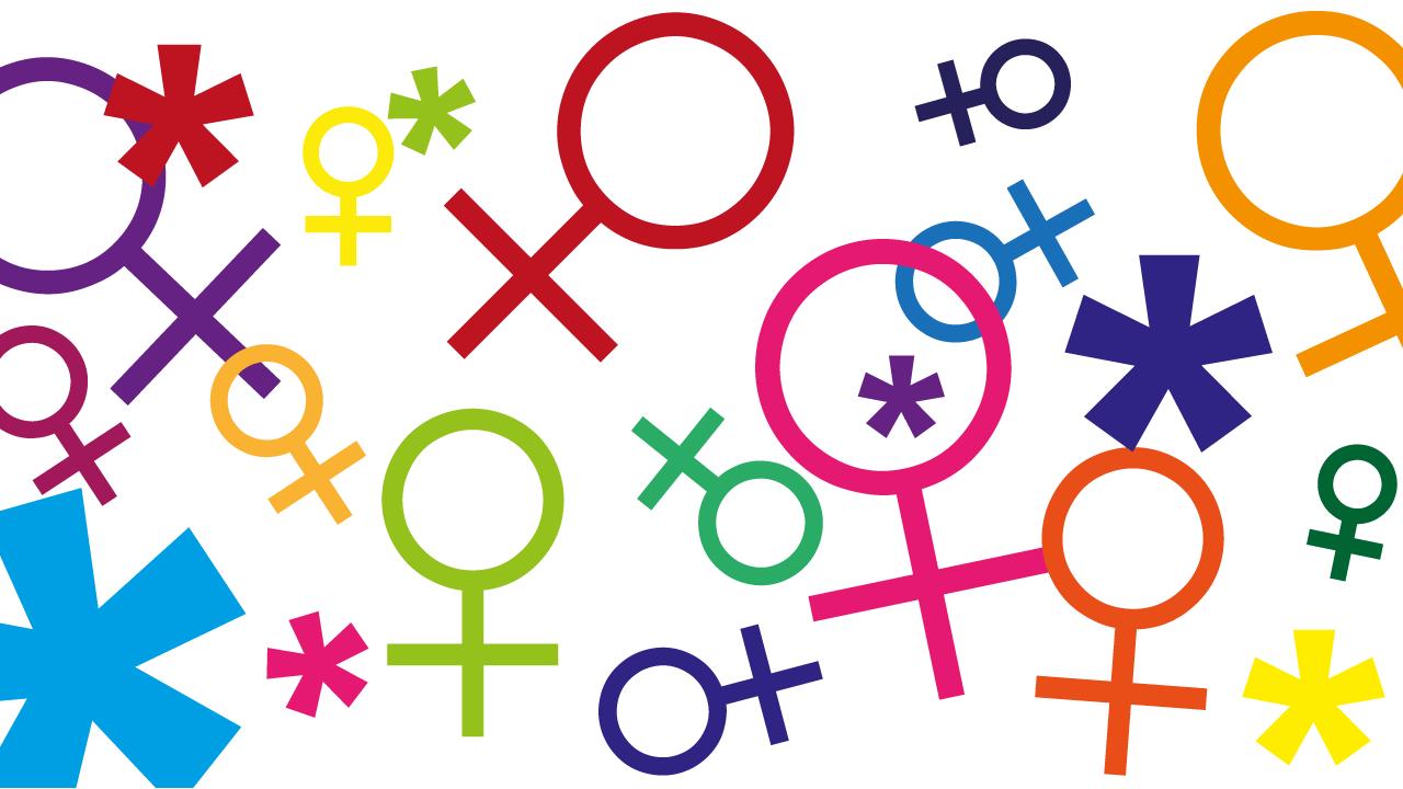 Adressierung lesben- und transfeindlicher Gewalt bei der Umsetzung der Istanbulkonvention
