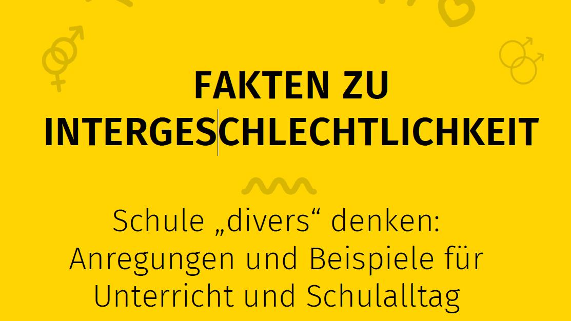 Screenshot vom Cover: Viertes Faktenpapier zu Intergeschlechtlichkeit. Schule divers denken. Anregungen und Beispiele für Unterricht und Schulalltag