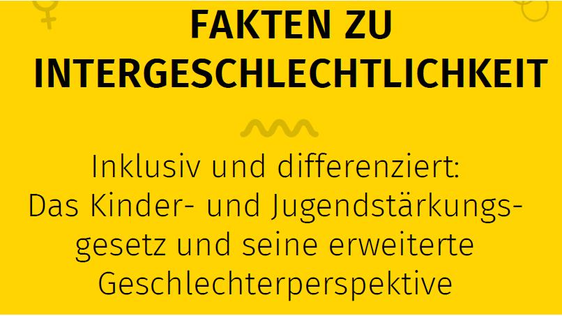 Screenshot vom Cover des 6. Faktenpapiers zu Intergeschlechtlichkeit mit dem Titel &quot;Das Kinder- und Jugendstärkungsgesetz und seine erweiterte Geschlechterperspektive&quot;