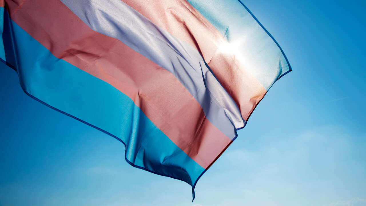 Transfahne: Wie stehen die Parteien zur Selbstbestimmung von trans Personen