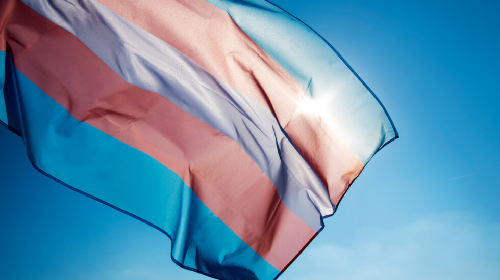 Transflagge als Symbolbild zur Kritik des Lesben- und Schwulenverbandes an Alice Schwarzers Thesen zu Transsexualität