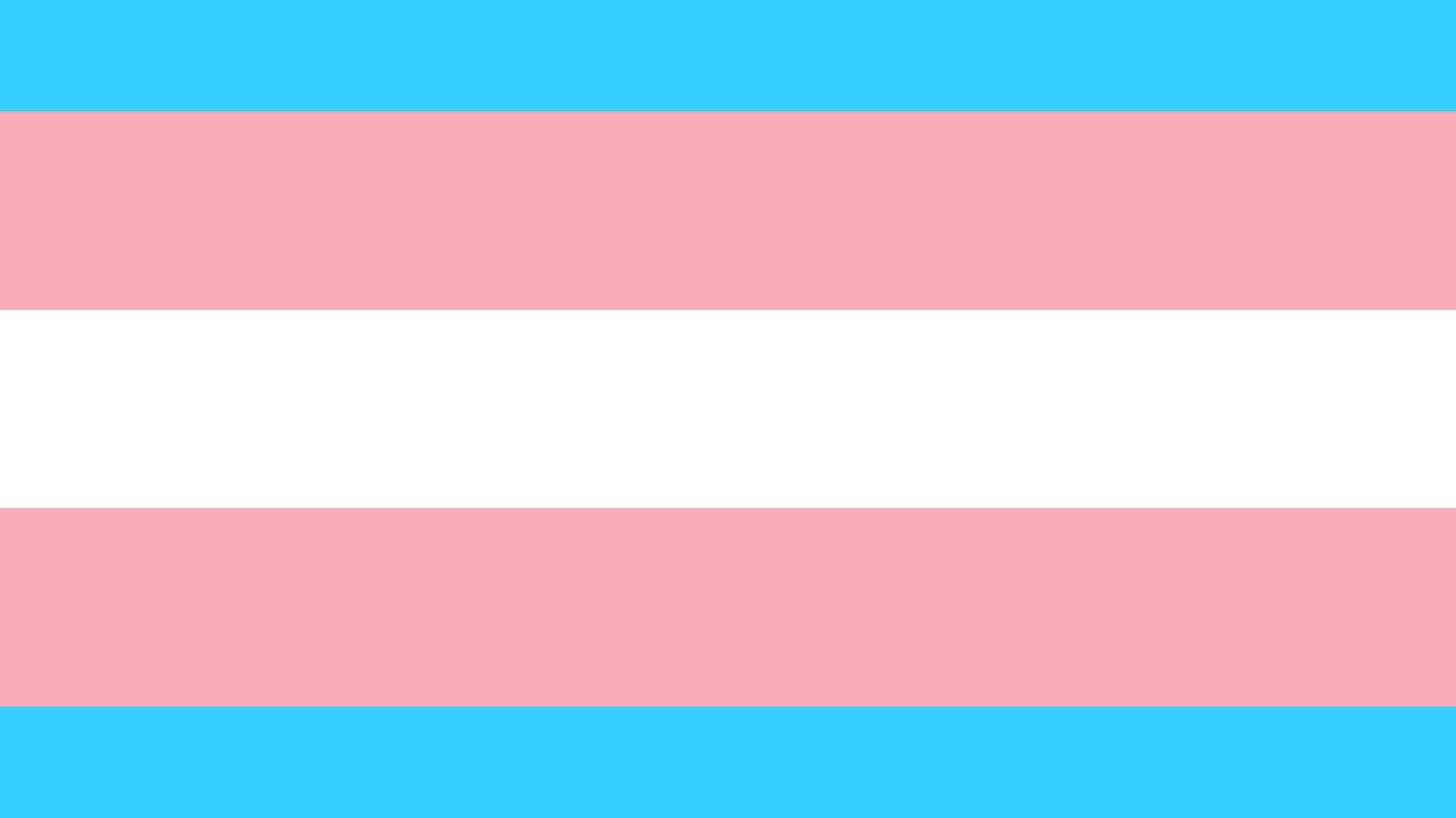 Solidaritätsbekundung mit dem Opfer trans*feindlicher Gewalt Hanna Kaltenborn